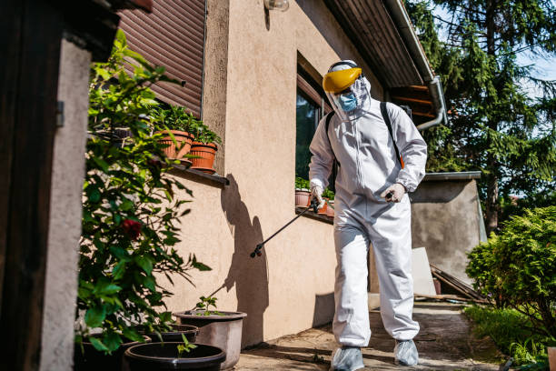 Best Spider Control Near Me  in Sallisaw, OK