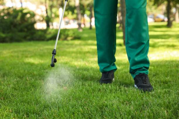 Best Commercial Pest Control Services  in Sallisaw, OK