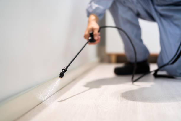 Best Pest Control for Restaurants  in Sallisaw, OK