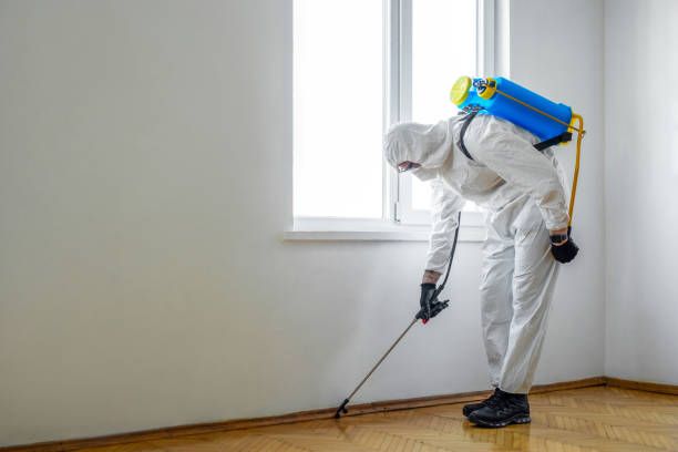 Best Termite Control Services  in Sallisaw, OK