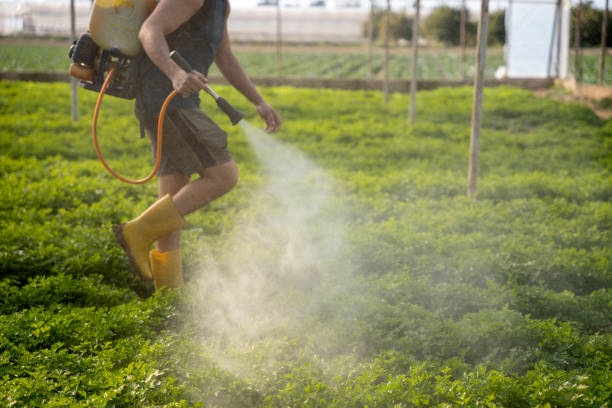 Best Pest Removal Services  in Sallisaw, OK