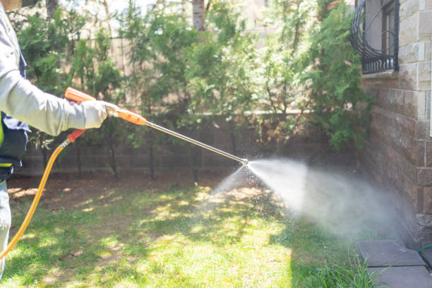Best Rodent Control Near Me  in Sallisaw, OK