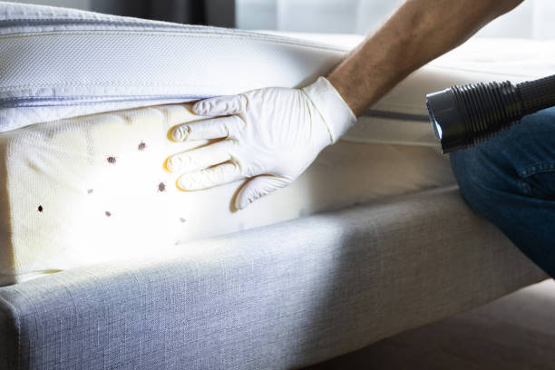 Best Pest Prevention Services  in Sallisaw, OK