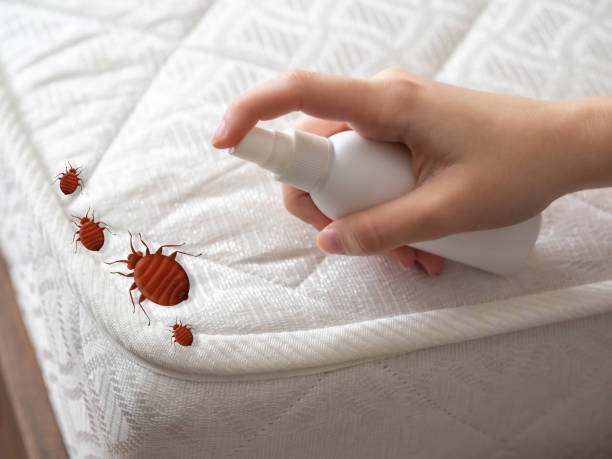  Sallisaw, OK Pest Control Pros