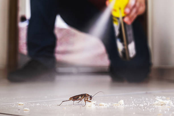 Best Residential Pest Control  in Sallisaw, OK